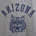 画像5: 【RE PRICE/価格改定】ARIZONA"ARIZONA LOGO" C/N S/S 6.6oz オールドプリントT / Audience