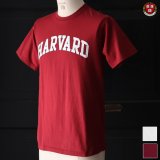 【RE PRICE/価格改定】HARVARD"HARVARD"C/N S/S 6oz オールドプリントT / Audience