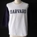 画像2: オールドプリント"HARVARD"ヴィンテージセットインベースボールアンダーTEE / Audience (2)