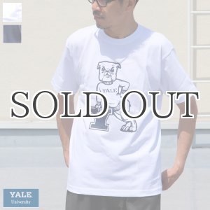 画像: 6.2oz丸胴YALE"Y-Handsome"オールドプリントTEE / Audience