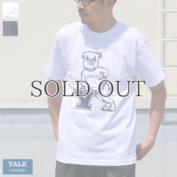 画像1: 6.2oz丸胴YALE"Y-Handsome"オールドプリントTEE / Audience (1)