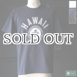 画像: 6.2oz丸胴HAWAII”UNIVERSITY OF HAWAII”オールドプリントTEE / Audience