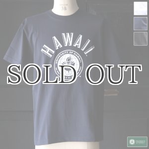 画像: 6.2oz丸胴HAWAII”UNIVERSITY OF HAWAII”オールドプリントTEE / Audience