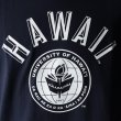 画像13: 6.2oz丸胴HAWAII”UNIVERSITY OF HAWAII”オールドプリントTEE / Audience (13)