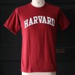 画像2: 【RE PRICE/価格改定】HARVARD"HARVARD"C/N S/S 6oz オールドプリントT / Audience (2)