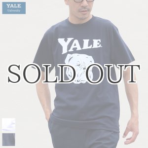 画像: 6.2オンス丸胴BODY YALE"Handsome-YALEオールドプリント"TEE / Audience