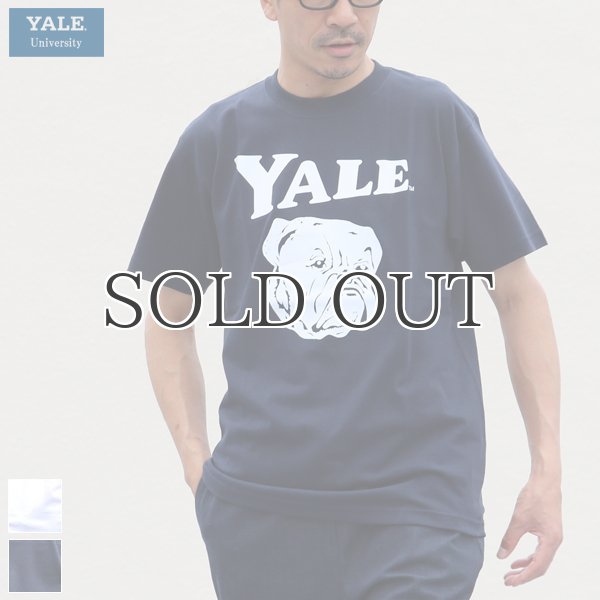 画像1: 6.2オンス丸胴BODY YALE"Handsome-YALEオールドプリント"TEE / Audience (1)