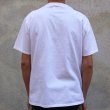 画像6:  【RE PRICE/価格改定】Riding High / P&E COMBI S/S TEE(ALOHA)【MADE IN JAPAN】『日本製』 (6)